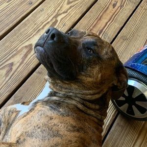 Meet your Posher, Karlee